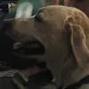 Kyle Matter - @kyle.matter2 - TikTok