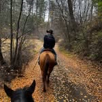 Kyle Mattox - @kjmattox - Instagram