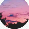 Kyle Mauch - @kylemauch704 - TikTok