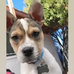 Kyle.Maucher - @kyle_maucher - Instagram