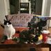 Kyle Maxwell - Facebook