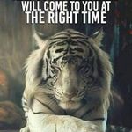 Kyle Mayes - @kyle.mayes.104 - Instagram