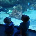 Kyle Mayes - @mayesandmayesradiator - Instagram