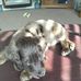 Kyle Mayhew - Facebook