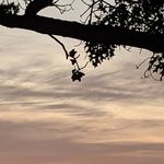 Kyle McCafferty - @hoppingcrowfarm - Instagram