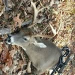Kyle McCarroll - @kylemccarroll - Instagram