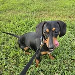 Kyle McCracken - @kyle_mccracken22 - Instagram