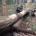 Kyle Mchenry - @mchenry.kyle - Instagram