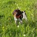 Kyler Messer - Facebook