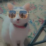 Kyle Million - @bunny_million - Instagram