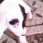 KyleMohan - @kylemohan2 - Instagram