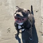 kyle fullam molloy - @mo5kyle0 - Instagram