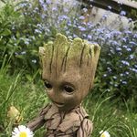 Kyle Molloy - @plastic_legend - Instagram