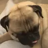 Kyle Molloy - @kyle.molloy20 - TikTok
