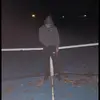 kylemolloy10 - @kylemolloy10 - TikTok