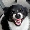kyle.molloy - @kyle.molloy - TikTok