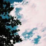 kyle.monte - @mint_kyle - Instagram