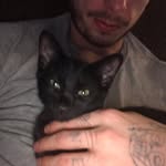 Kyle Gilbert - @kylemott44 - Instagram