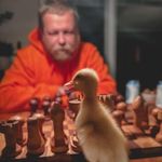 Kyle Mott - @kyle.mott.169 - Instagram