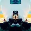 KzNcali707 - @kylemoynihan - TikTok