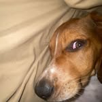 kyle - @kylemullenssss - Instagram