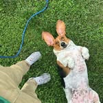 Kyle mullens - @kyle_mullens06 - Instagram