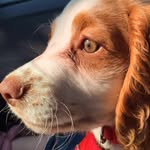 Kyle Munn - @kyle___munn - Instagram