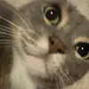 kylee munroe - @kylee_munroe - TikTok