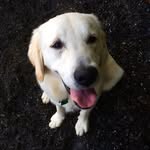 Kyle Nalls - @nallks - Instagram