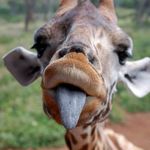 kyleneeeeeee🦒 - @kylene_el - Instagram