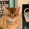 user9273510528704 - @kylee.neel - TikTok