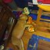 Kyle Nix - Facebook