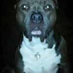 Kyle Nobles - @natureboy478 - Instagram