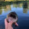 keepthechangeyoufilthyanimal - @kylenutting6 - TikTok