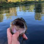 Kyle Nutting - @knutting3 - Instagram