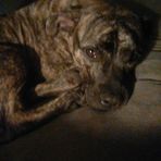 Kyle Obermeier - Facebook
