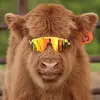 Kyle Olds305 - @kylejerry71 - TikTok