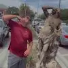 Kyle Reynolds - @kylejreynolds2 - TikTok