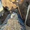 Kyle Olson - @kyle.olson18 - TikTok