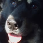 Kyle - @kyle_oram2008 - Instagram