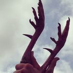 Kyle Ott - @kyle_c_ott - Instagram