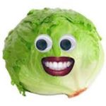 kyle ott - @larry_the_lettuce_ - Instagram
