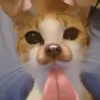 kyleoubremyloml - @kyleoubremyloml - TikTok