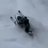 Kyle Pace - @kyle_pace777 - TikTok