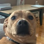Kyle parkhurst - @parkhurst7662 - Instagram