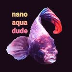 Kyle Partridge - @0.8gnanoaquadude - Instagram
