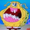 Kyle Pask - @kylepask0 - TikTok