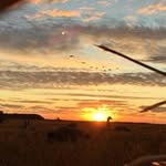 Kyle Paskaruk - @kylepaskaruk - Instagram
