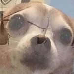 kyle pass the fucking juul - @juulsheriff - Instagram