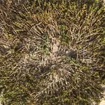 Kyle Passen - @kylepassen - Instagram